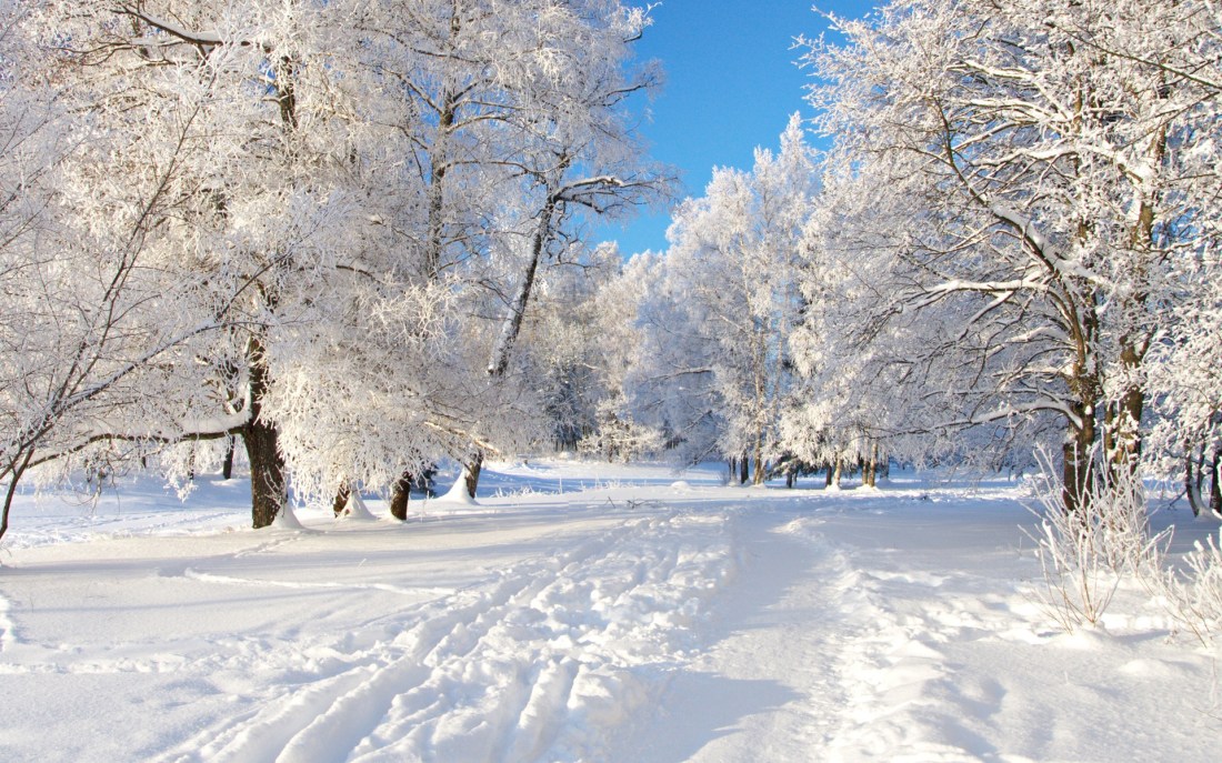 winter-scenery-18717-19196-hd-wallpapers