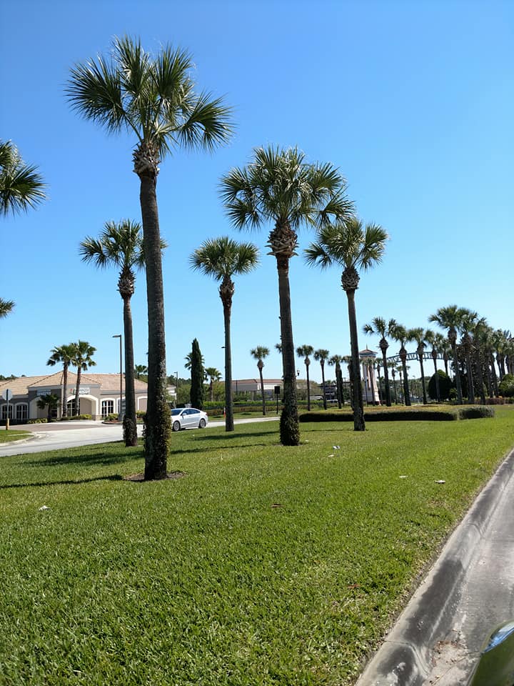 29261885_10160366300330195_5355147627715932795_n