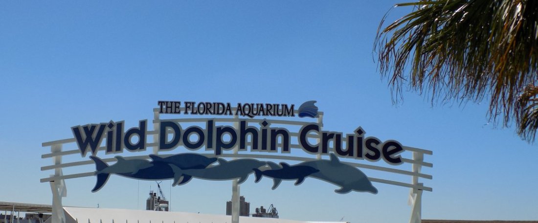 28947362_10160387015145195_6002280482469795617_o