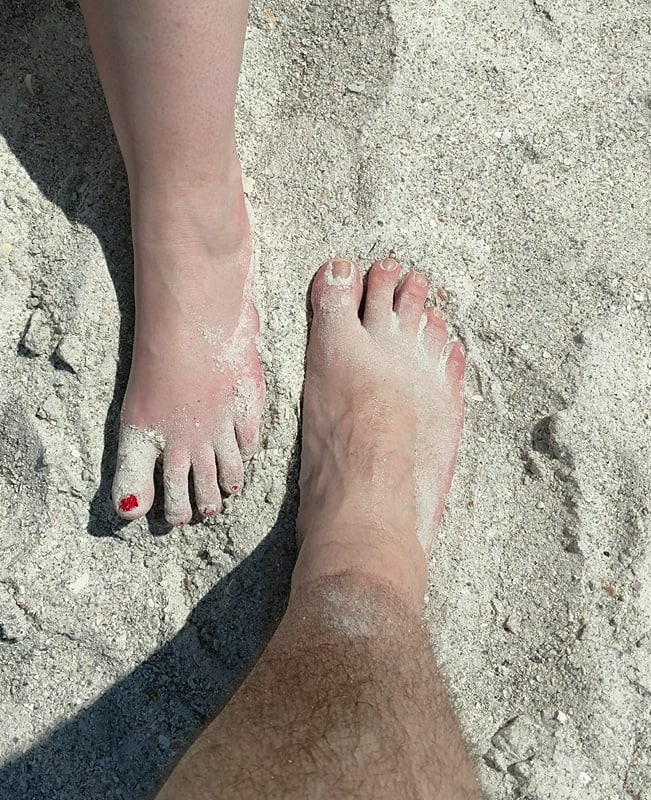 29134202_10160372576690195_206851489_n