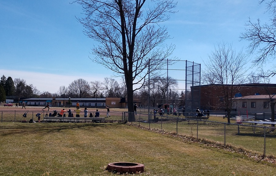 Baseball - backyard