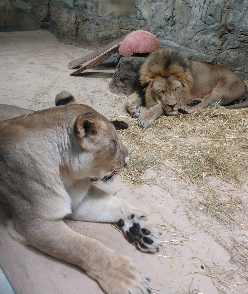 IMG_20190823_111423989