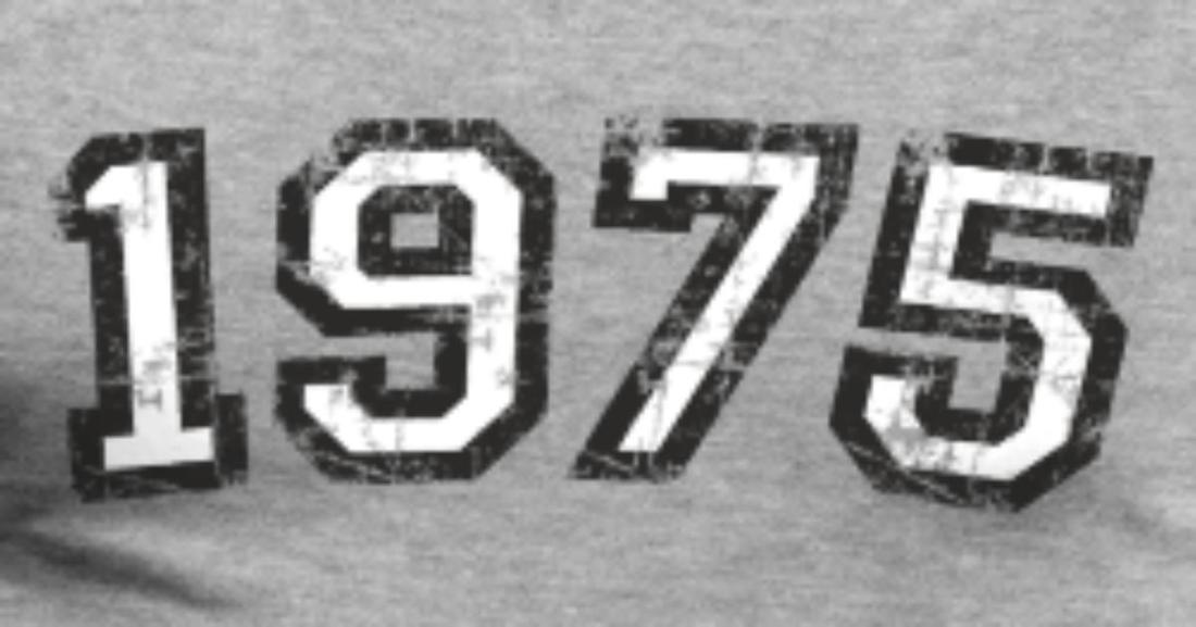 year-1975-birthday-design-vintage-white-mens-premium-t-shirt
