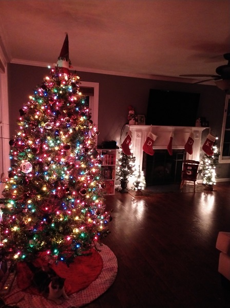 IMG_20191109_200242055