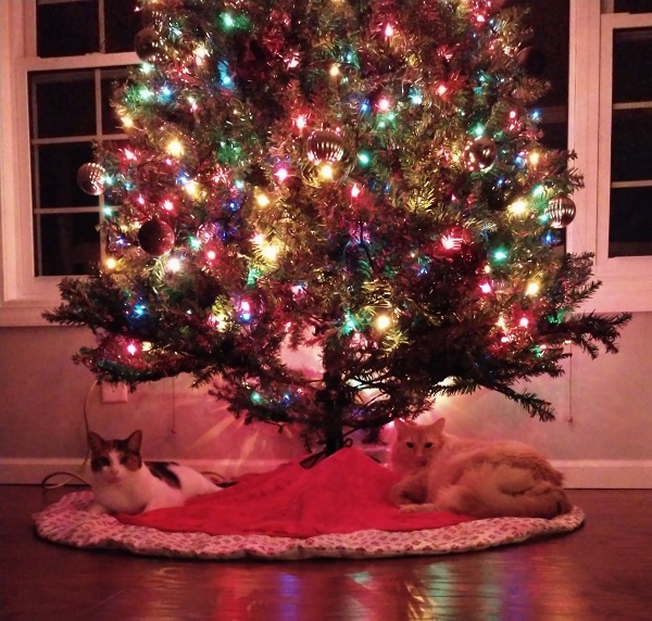 IMG_20191109_201756745~2