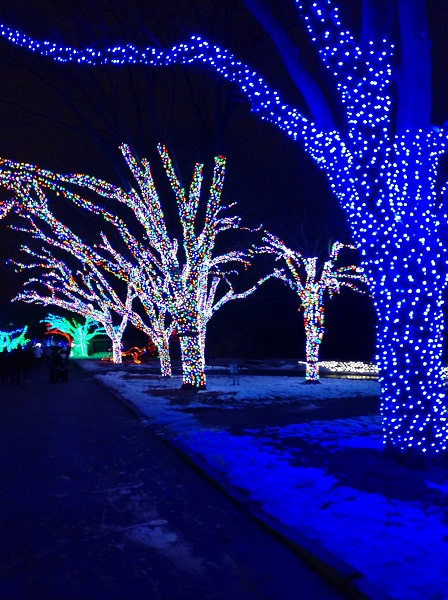 IMG_20191117_193500018