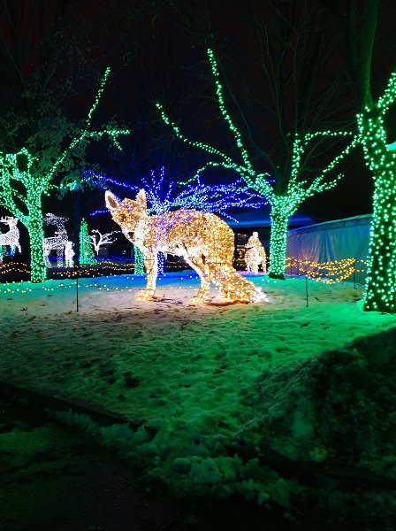 IMG_20191117_200420777