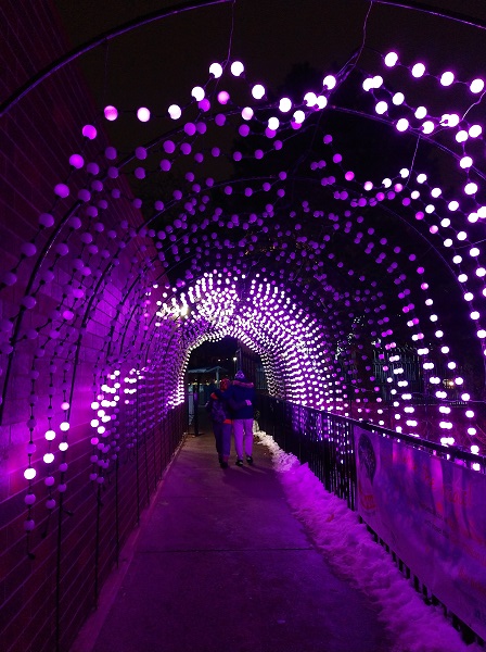 IMG_20191117_201005562