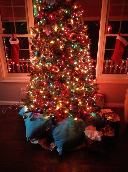 IMG_20191224_000130295