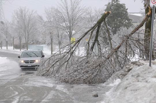 Ice_storm1___Gallery