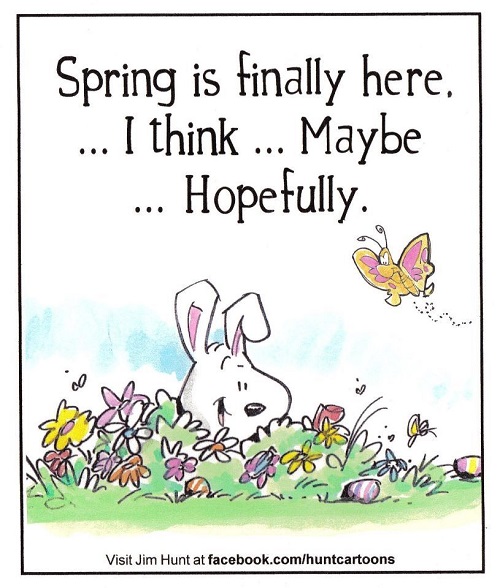 spring