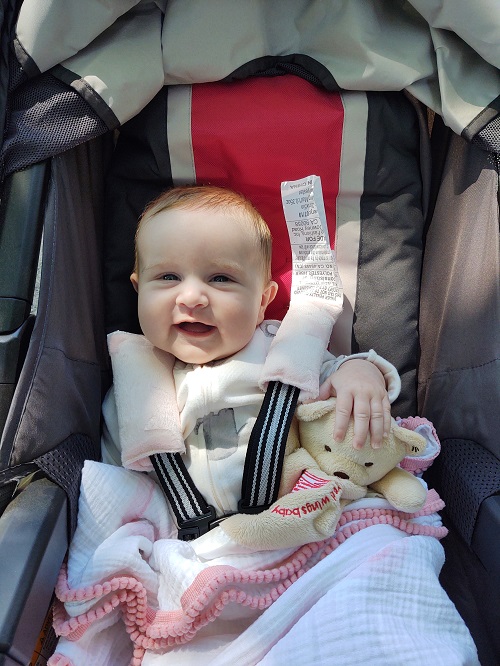 IMG_20200615_115305428_BURST000_COVER_TOP